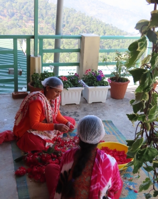 Himalayan Farm Connect LLP.