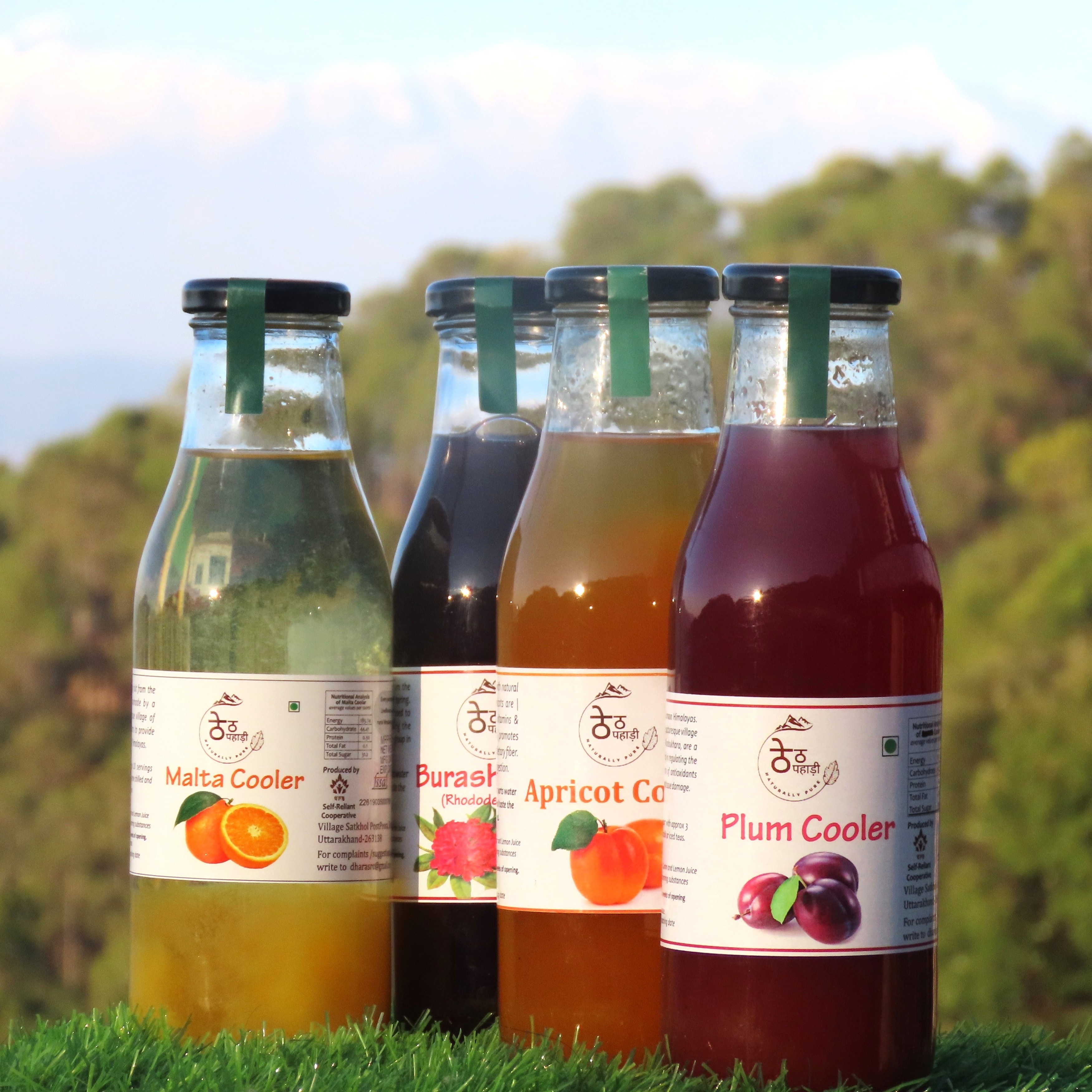 Himalayan Fruit Coolers
