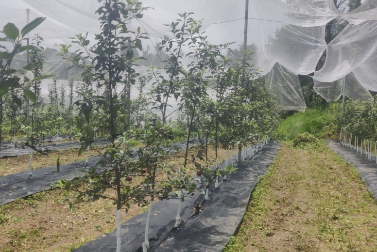 Himalayan Farm Connect LLP